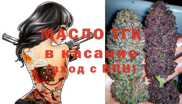 стафф Верхний Тагил